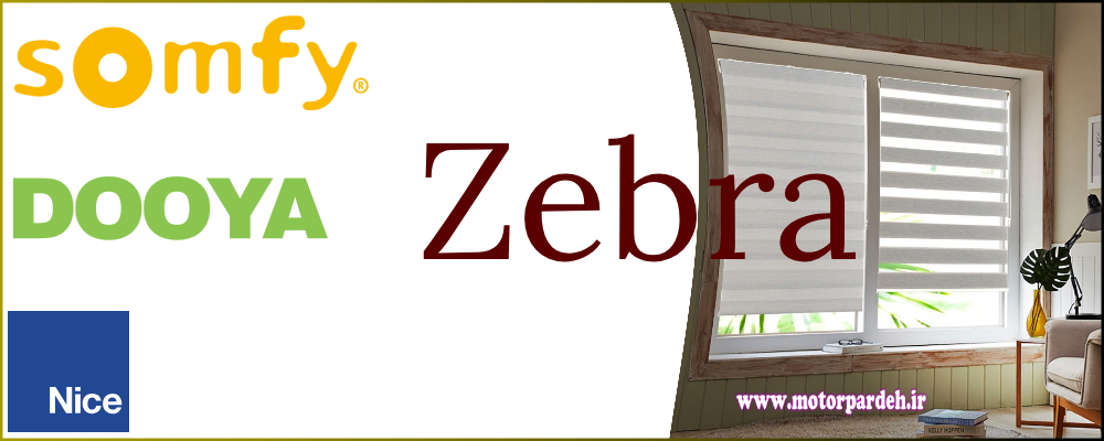 معروفترین برندهای موتور زبرا